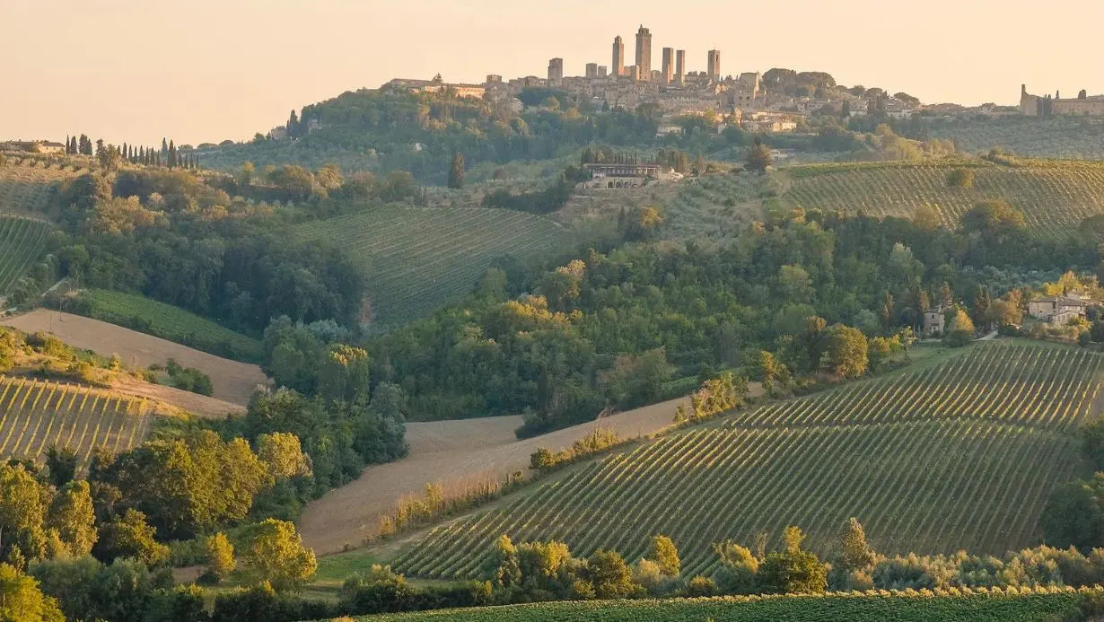 ANOTHER-STEP-IN-WEAR-LONDON-S-SUSTAINABLE-JOURNEY-BY-USING-RECYCLED-WOOLLEN Wear London